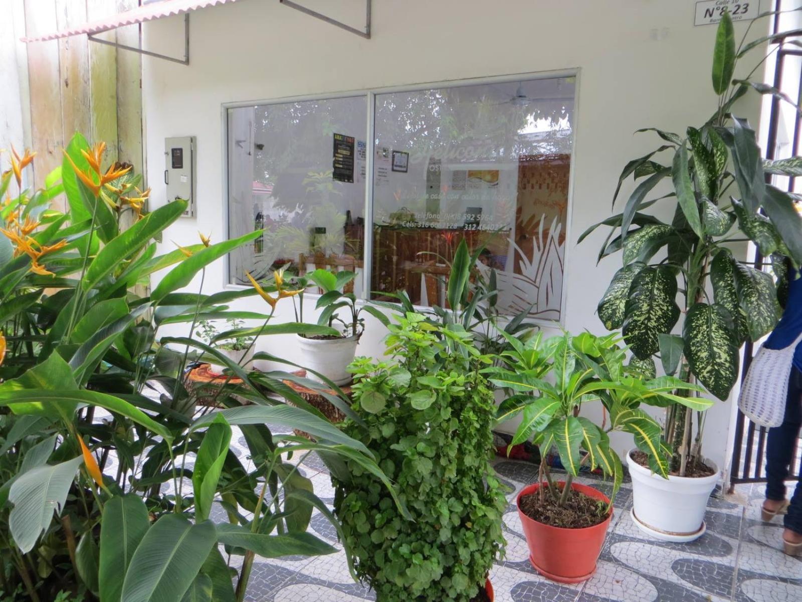 Hotel Heliconias Λετίσια Εξωτερικό φωτογραφία